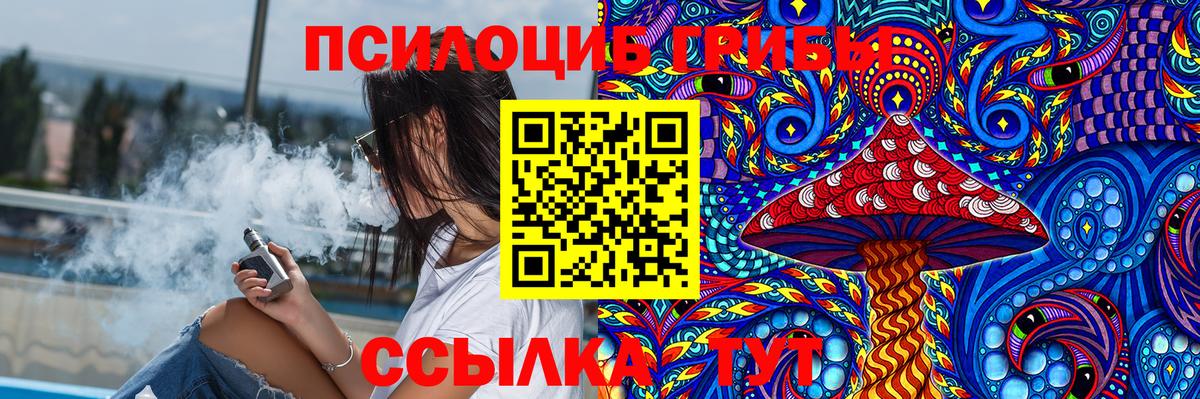 Камышлов  Галлюциногенные грибы ЛСД  купить   Вход с VPN  Псилоцибиновые грибы ЛСД 